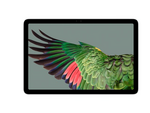Pixel Tablet - tablet
