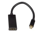 iiglo video adapter - DisplayPort / HDMI