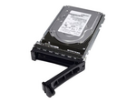 Harddisk - 300 GB
