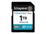 Canvas Go! Plus