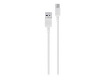 EP-DN930CWE - USB type C-kabel