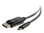 12ft USB C to DisplayPort Cable