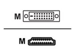 iiglo adapterkabel - HDMI / DVI