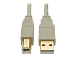 Tripp Lite Series USB 2.0 A to B Cable (M/M), Beige, 6 ft. (1.83 m)
