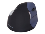VerticalMouse 4 Right Wireless