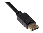 iiglo adapterkabel - DisplayPort / HDMI